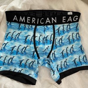 AE boxer briefs